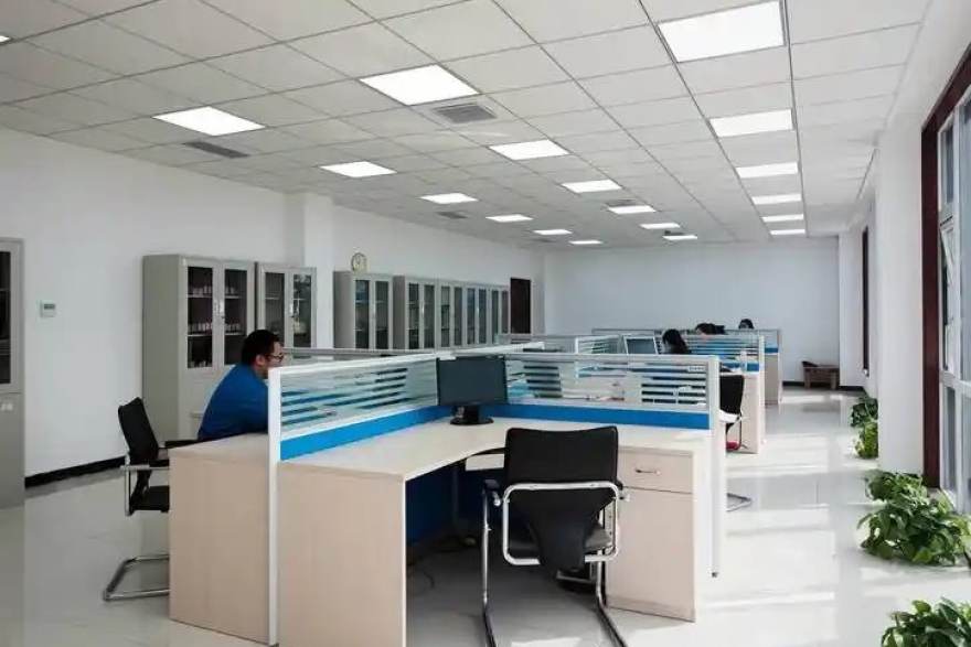 低调看球赛事数据统计与战术分析工具